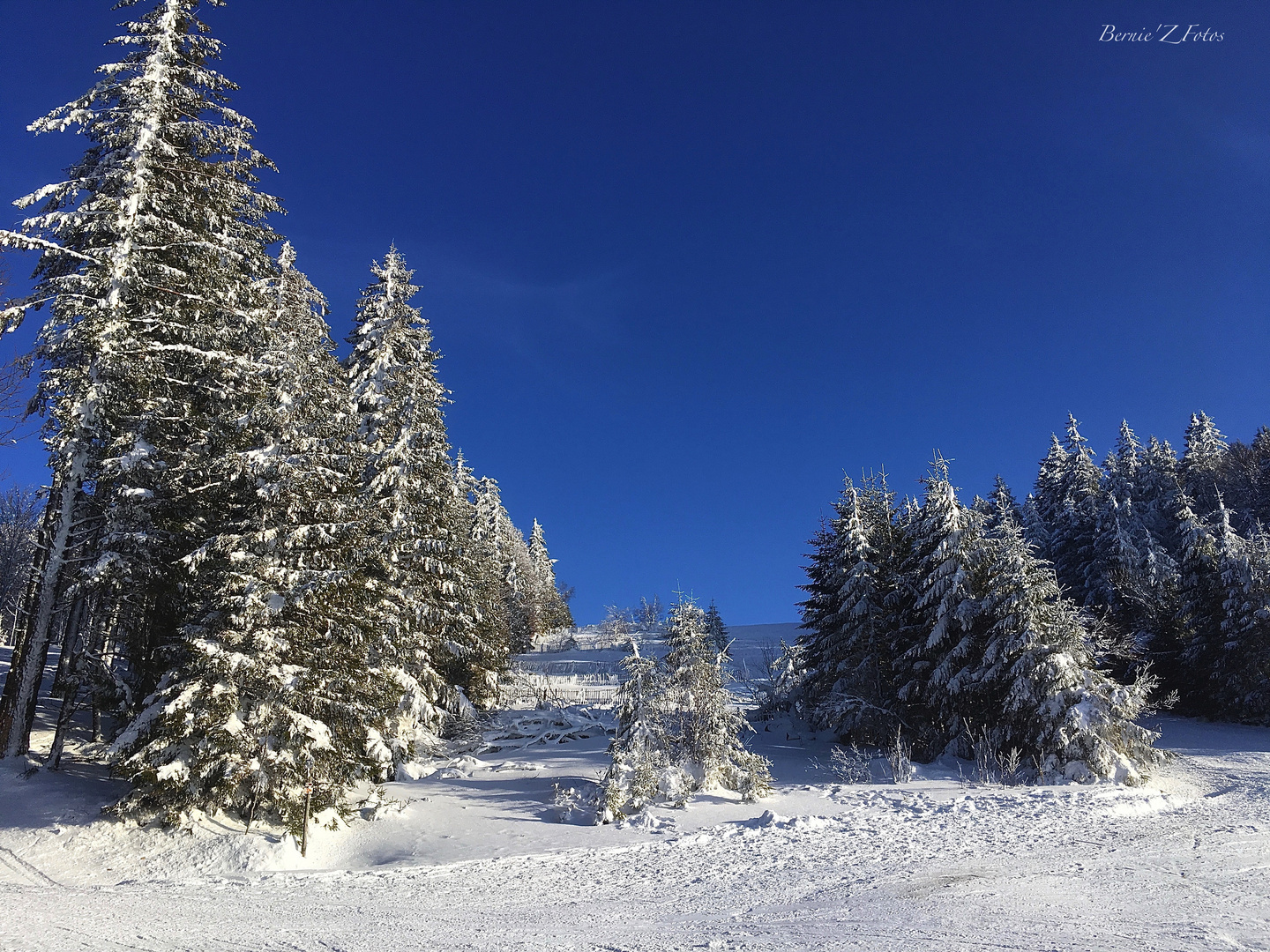 Skiez Vosges