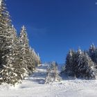 Skiez Vosges