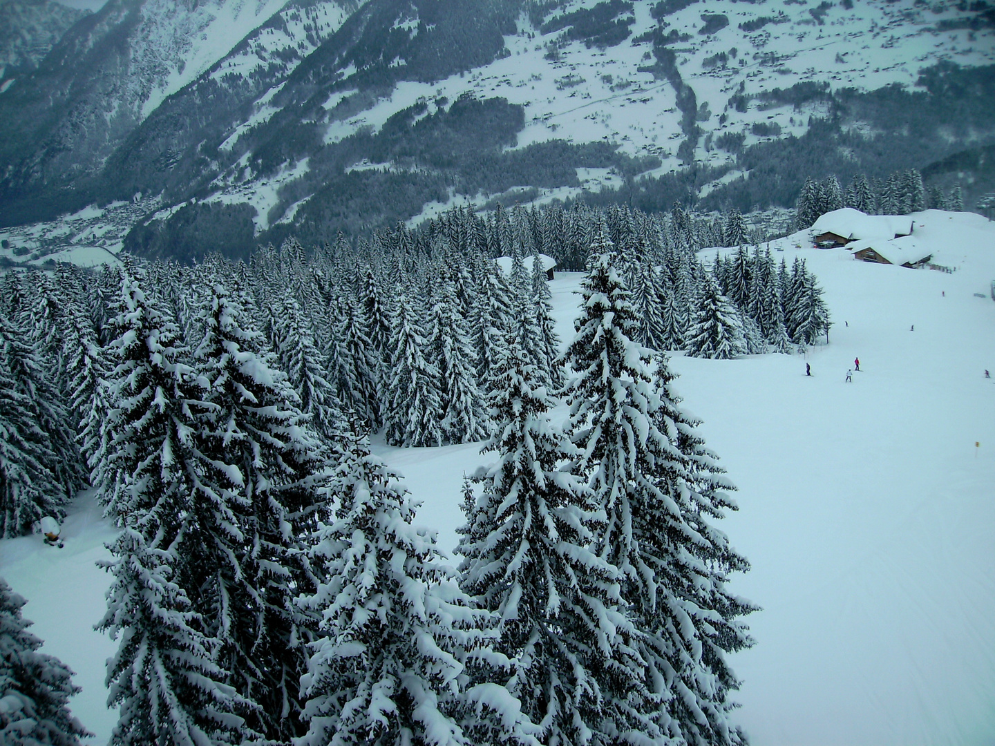 Skifahren am Montafon (Golm)