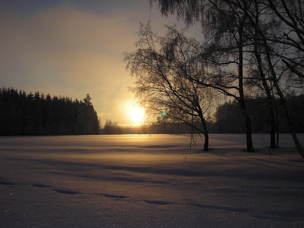 Skifahren auf dem Spiegelwald