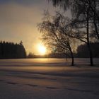 Skifahren auf dem Spiegelwald