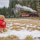 Skifahren im Preßnitztal