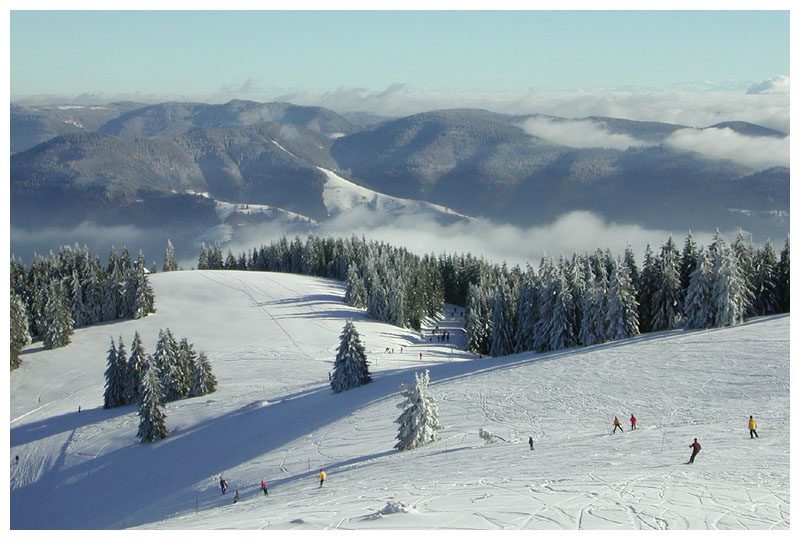 Skifahren im Schwarzwald