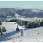 Skifahren im Schwarzwald