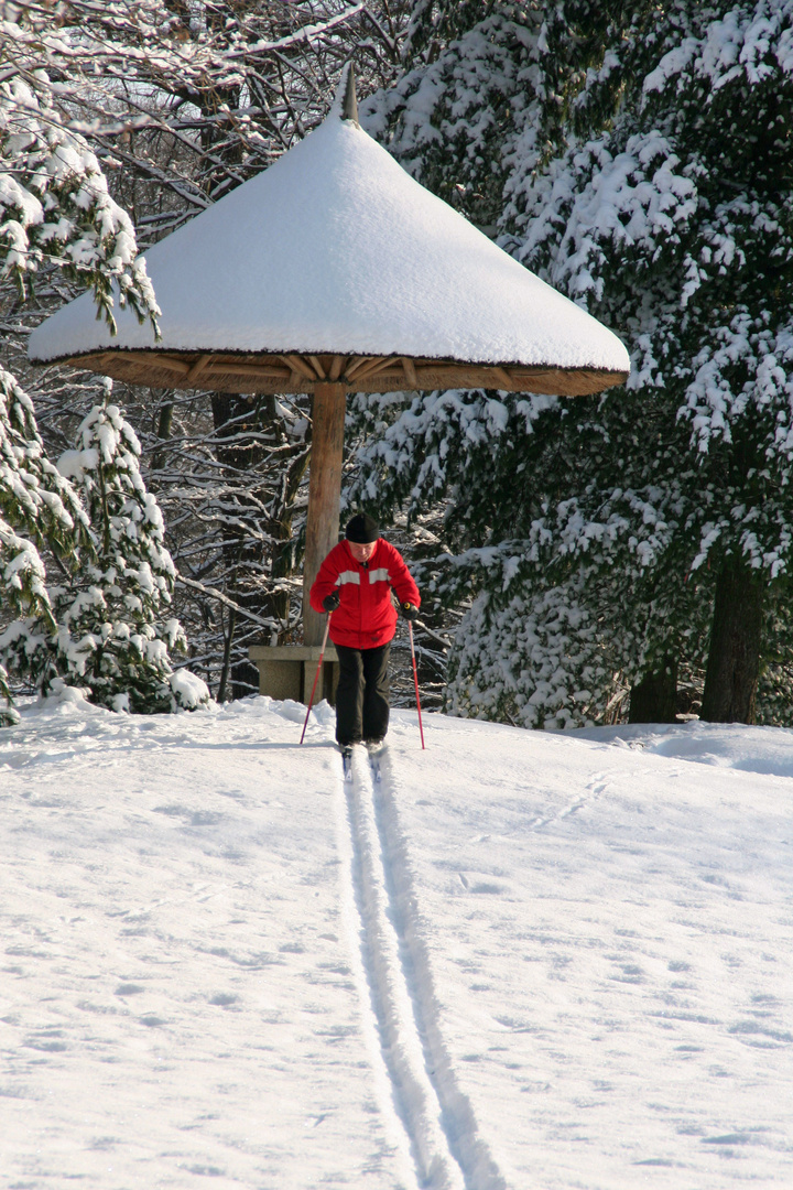 Skifahrer am Parasolhügel des Branitzer Parkes