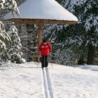 Skifahrer am Parasolhügel des Branitzer Parkes