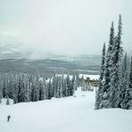 Skigebiet Big Wihte Kanada 2004-2005 Schnee u. Wälder so weit das Auge reicht.