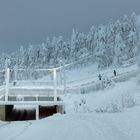 Skigebiet Levi in Lappland