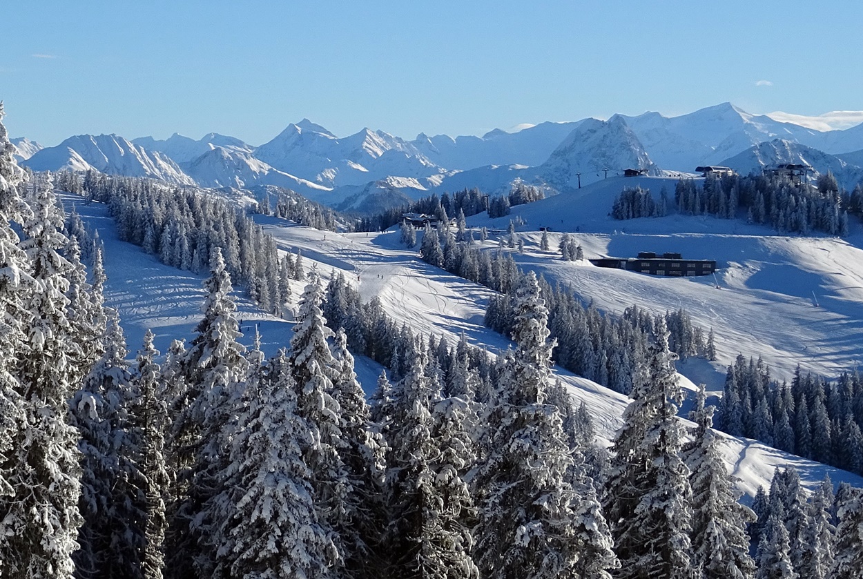 Skigebiet Scheffau