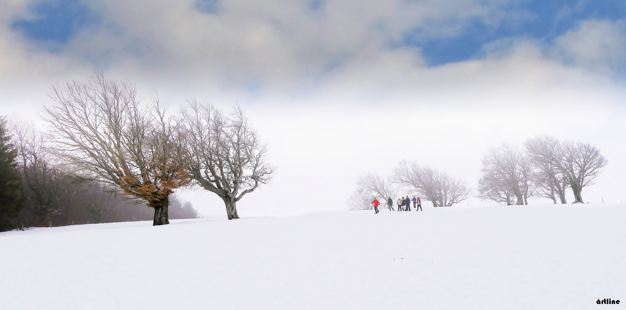 Skiiiiii fahr´n ....nebliger Wintertag