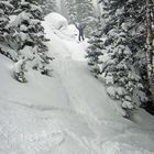 Skiing in Jackson Hole - auch wenn's schneit