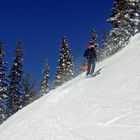 Skiing in Jackson Hole USA