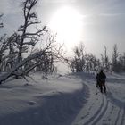 Skiing in Norway