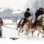 Skijöring