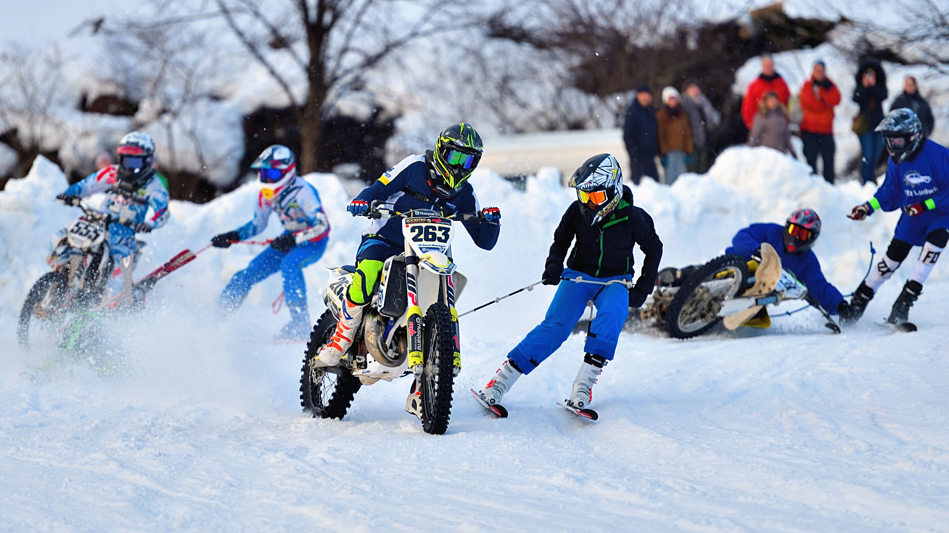 Skijöring Schliersee 2019