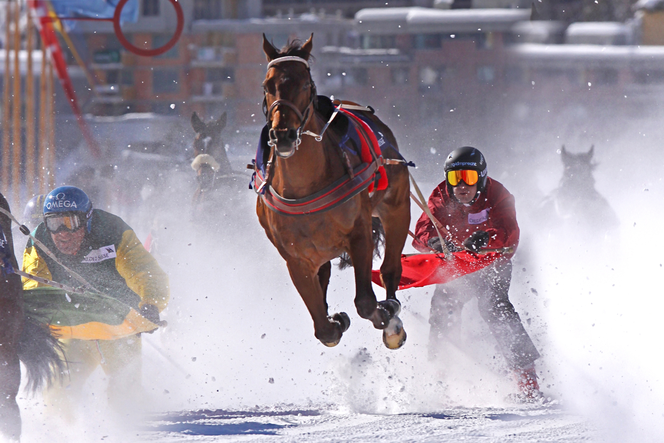 skijoring a sant moritz