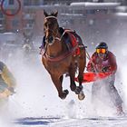 skijoring a sant moritz