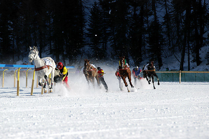 Skikjöring