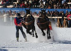 Skikjöring in St. Moritz