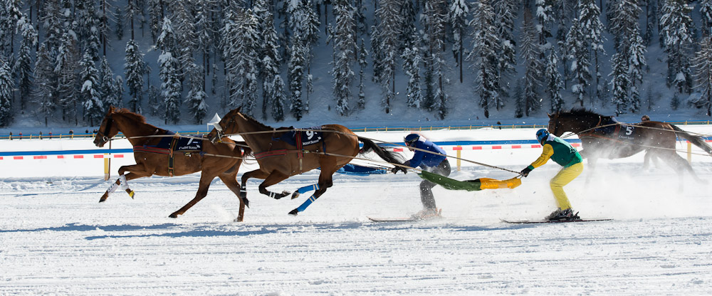 Skikjöring - White Turf, St. Moritz