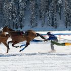 Skikjöring - White Turf, St. Moritz