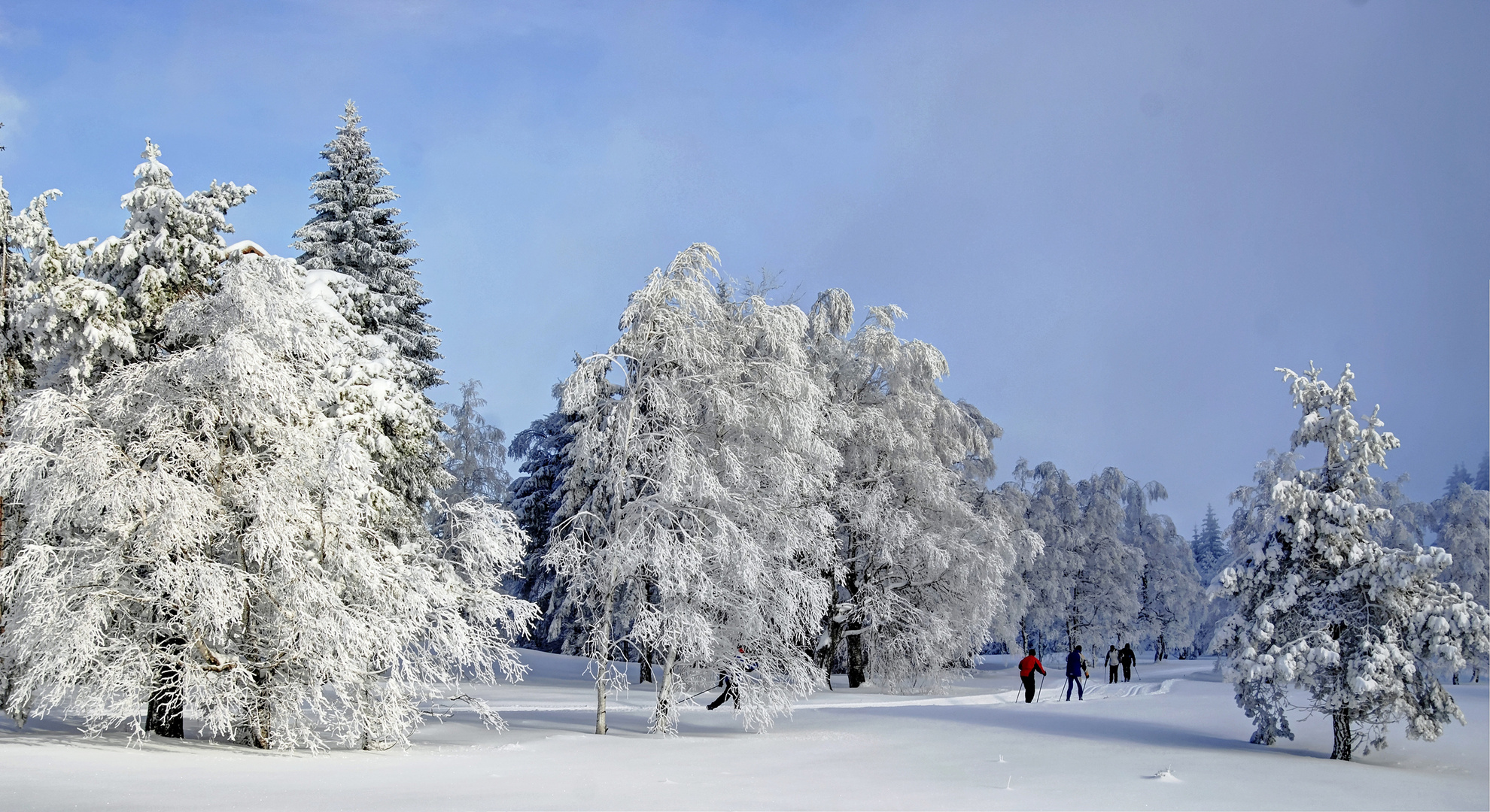 Skilangläufer im Schwarzwald