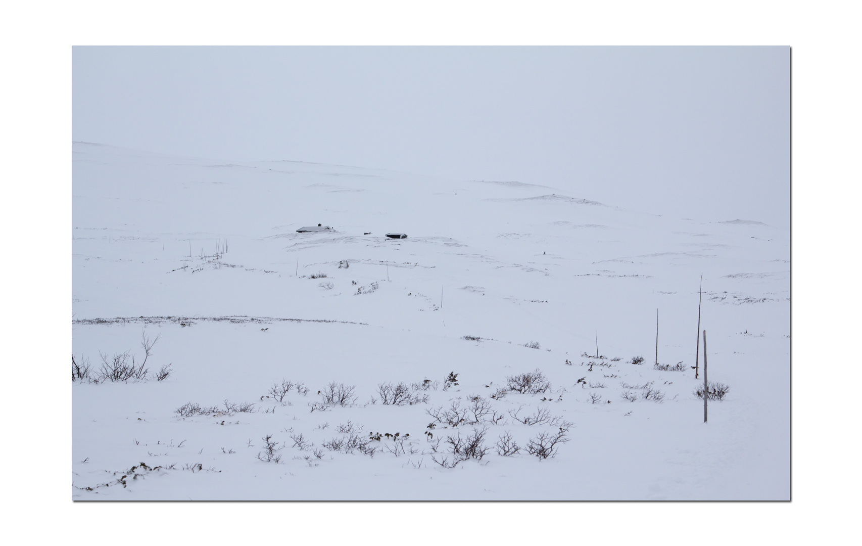 Skilanglauf am Rande des Hallingskarvet Nationalparks