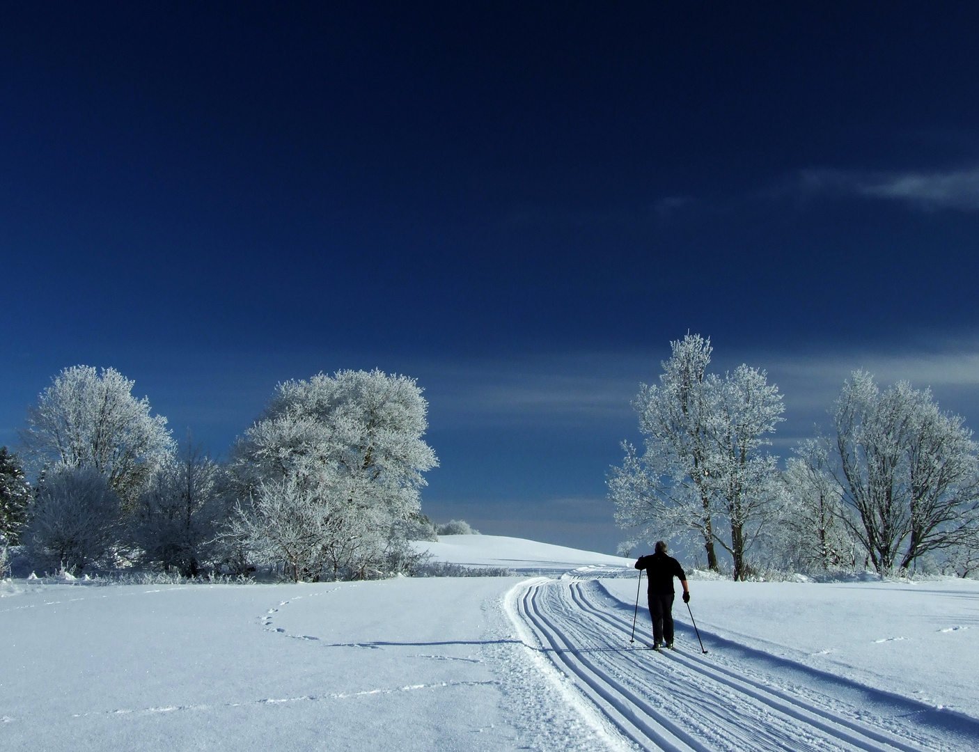 Skilanglauf