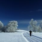 Skilanglauf