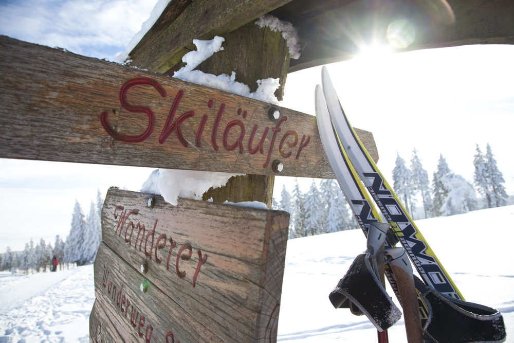 Skilanglauf-Willingen