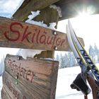 Skilanglauf-Willingen