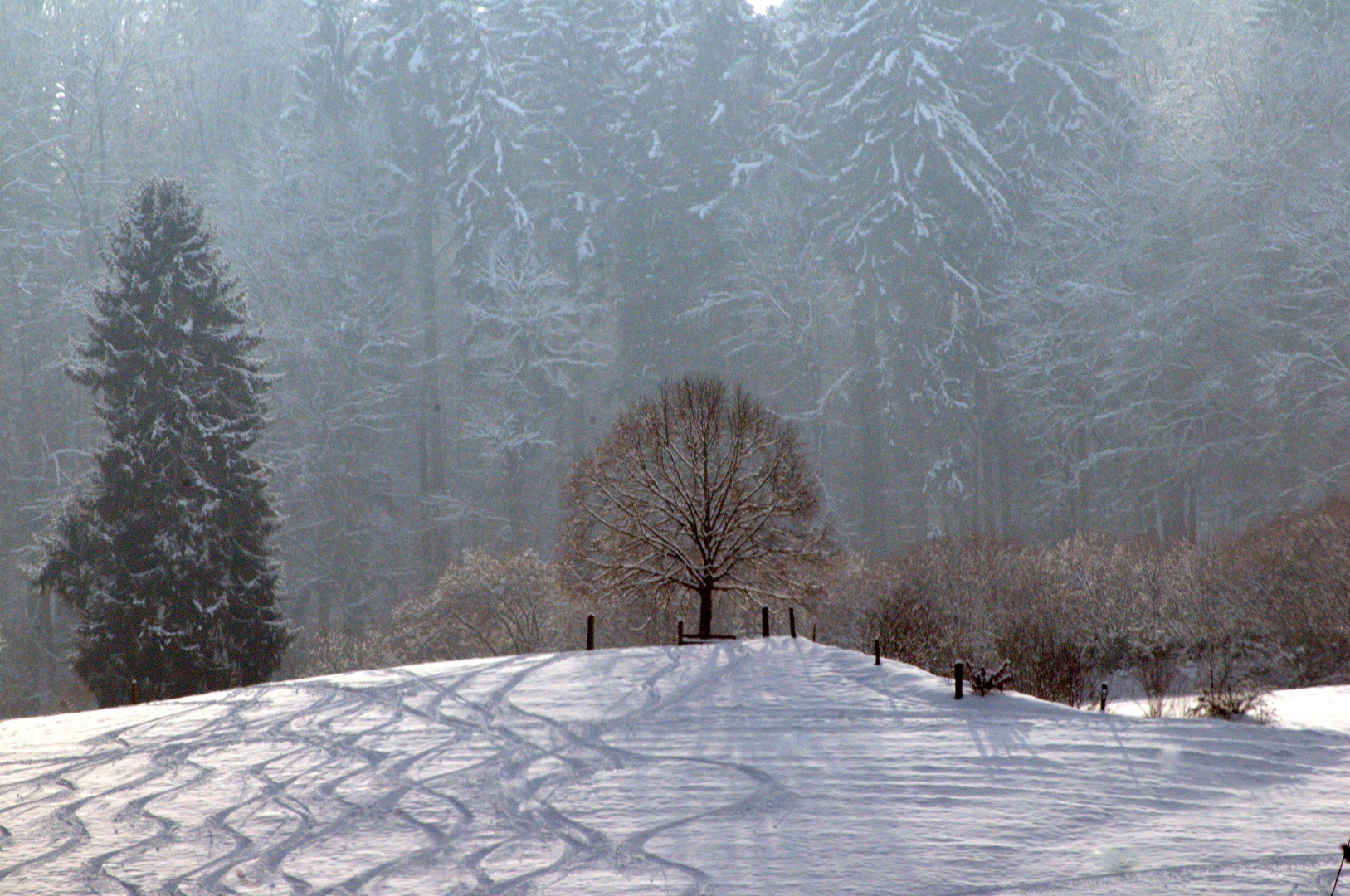 Skilauf Spuren an Berns Hausberg