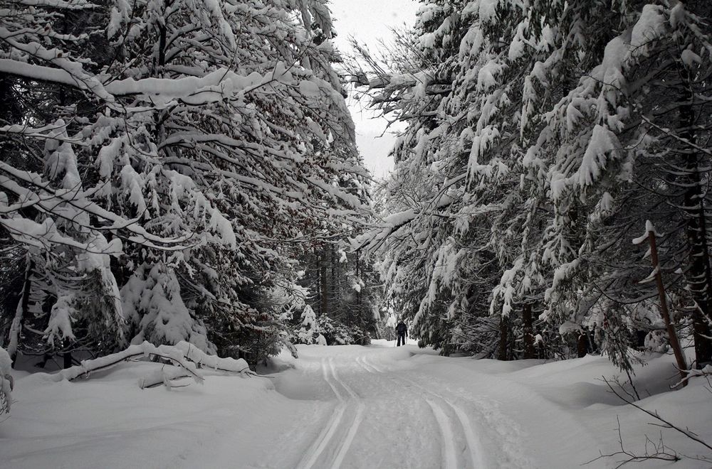 Skileupen in Wildbach Kreuth