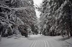 Skileupen in Wildbach Kreuth