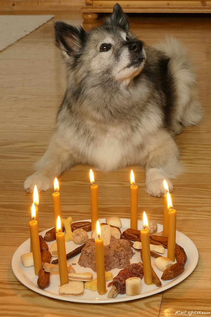 Skímas zehnter Geburtstag