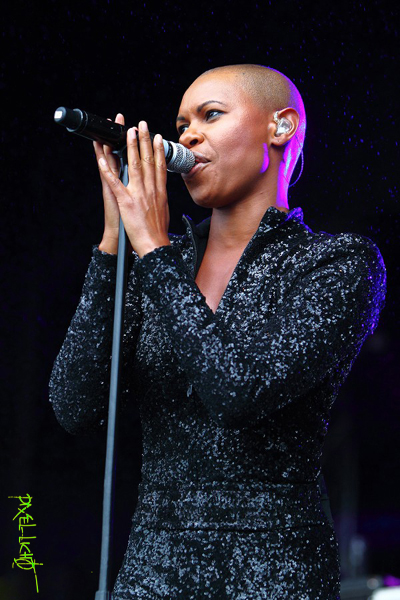 Skin 2 " Skunk Anansie "