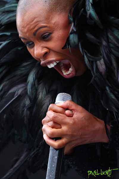 Skin " Skunk Anansie "