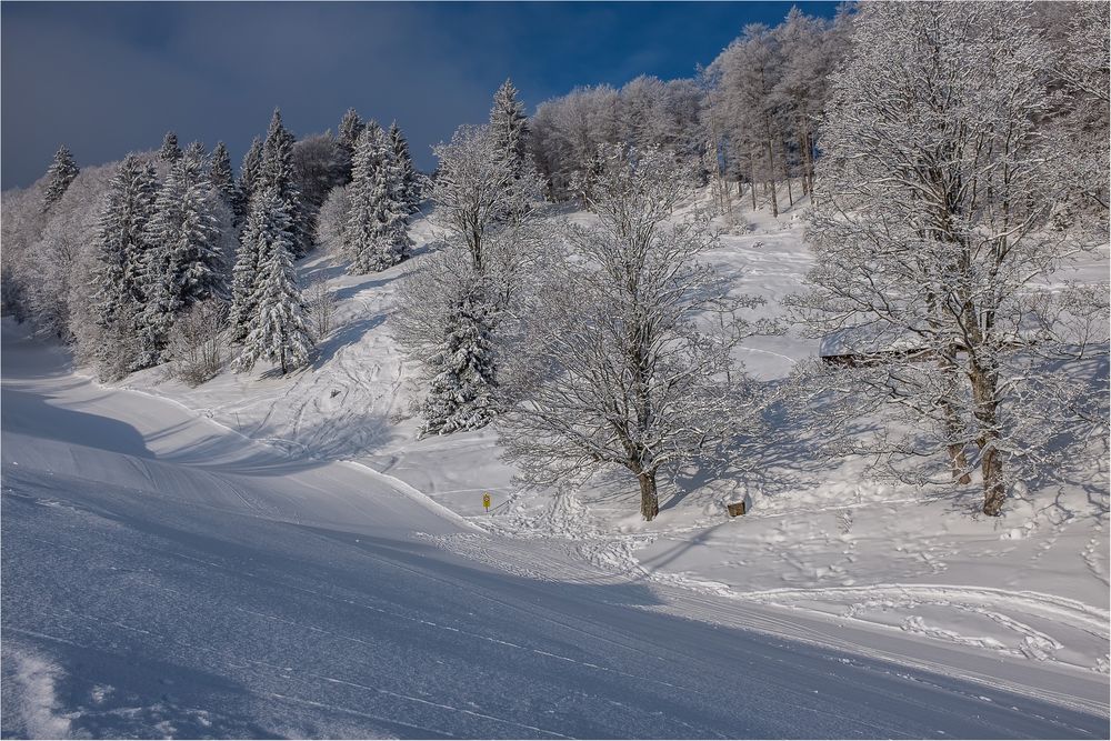 SKIPISTE AM BALMBERG