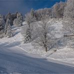 SKIPISTE AM BALMBERG