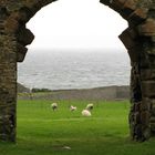 Skipness - Schöne Blicke durch das Skipness-Castle