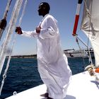 skipper of a felucca