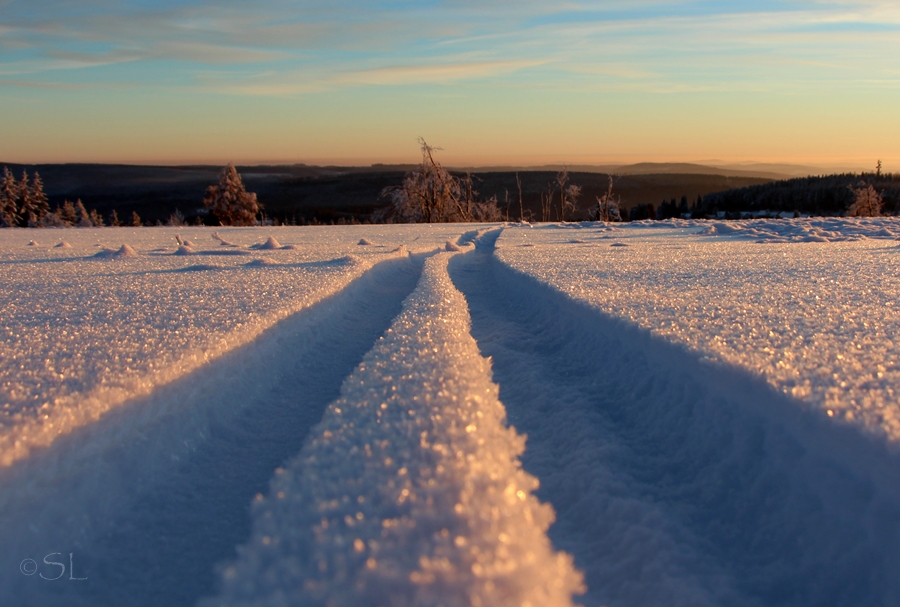 Skispur im Pulverschnee