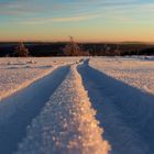 Skispur im Pulverschnee