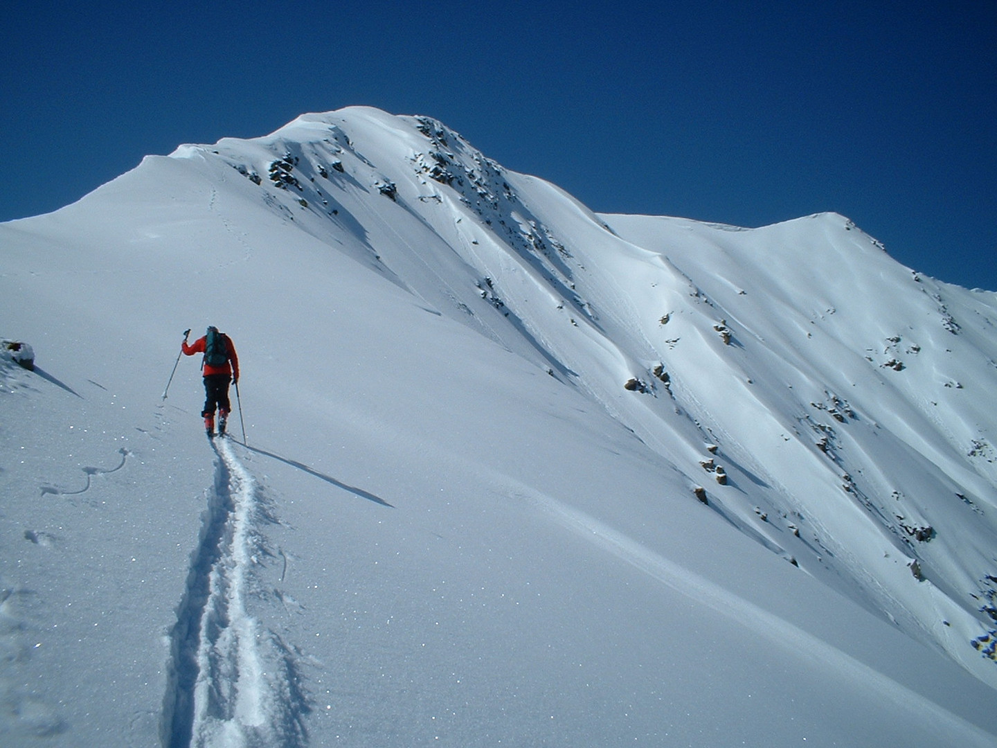 Skispur im Schnee