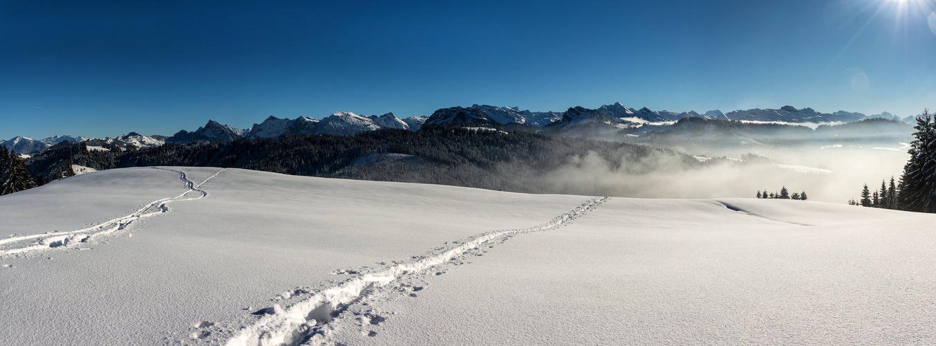 Skispuren ins Nirgendwo