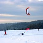 . . . Skisurfen im Schwarzwald 3 . . .