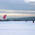 . . . Skisurfen im Schwarzwald . . .