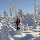 Skitour auf den Brocken