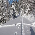 Skitour im Glattengebiet (CH)