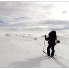 Skitour im Narvikfjell